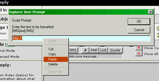 Right clcik and 'paste'' the clipboard URL into the 'IMG' small window